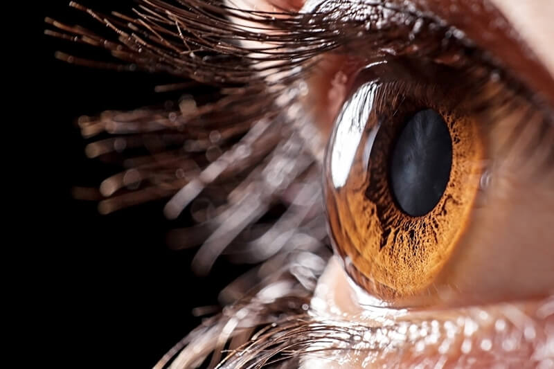 Closeup of a cornea