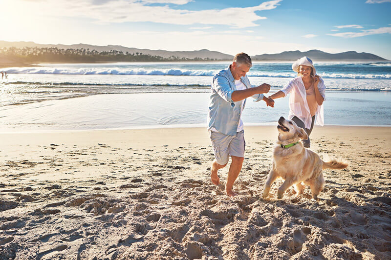 Couple Dancing on the beach with their dog